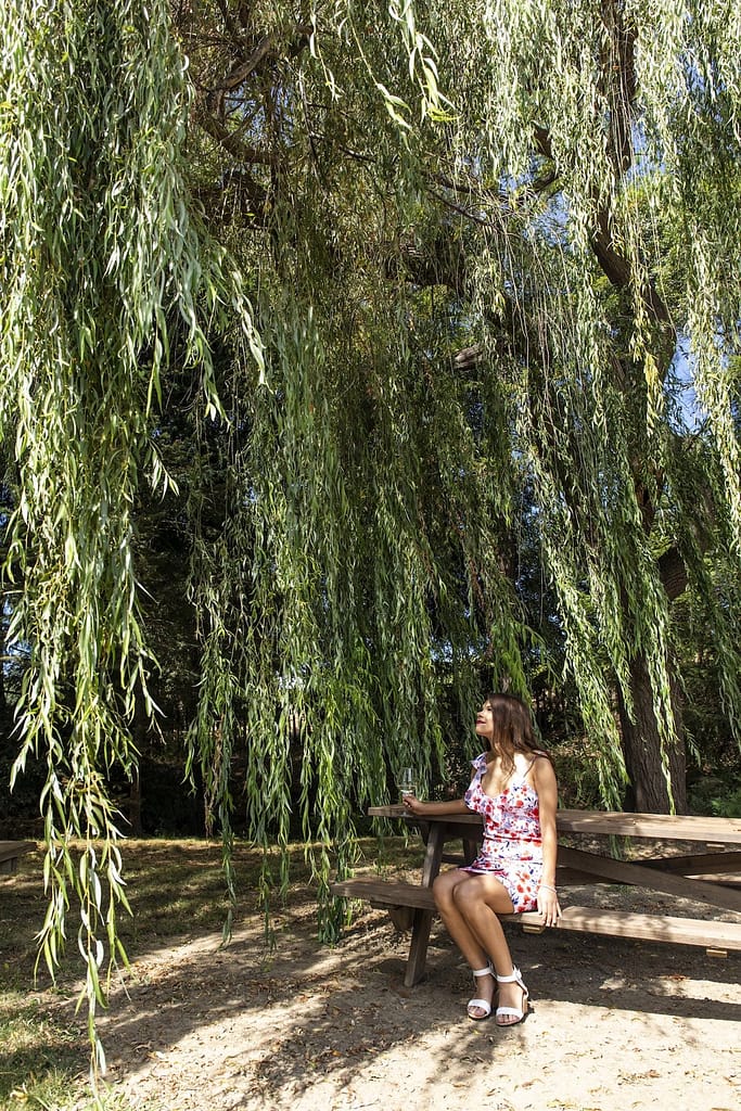 a woman with a wine glass sitting under a willow tree