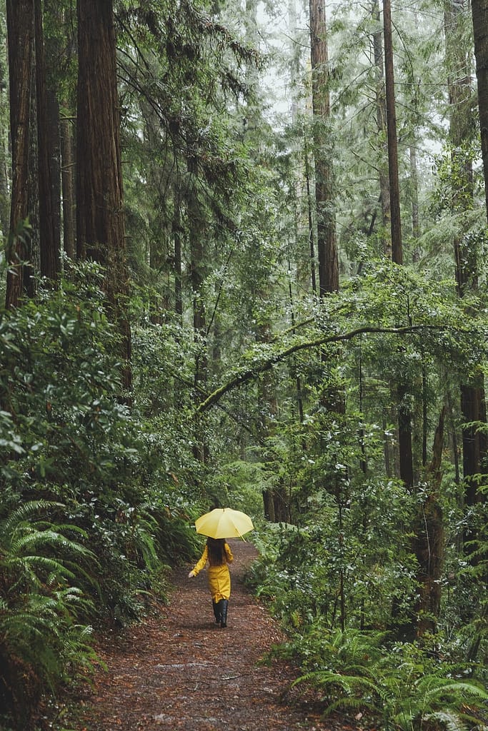 woman in a yellow raincoat walking on a forest path