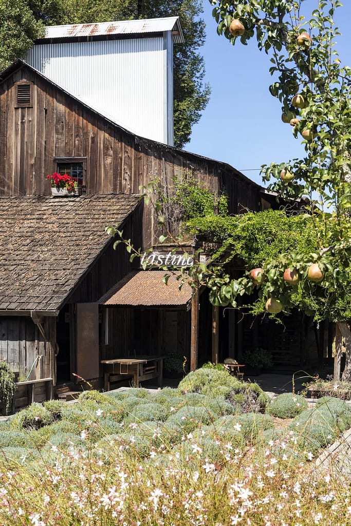 the wooden barn tasting room and gardens