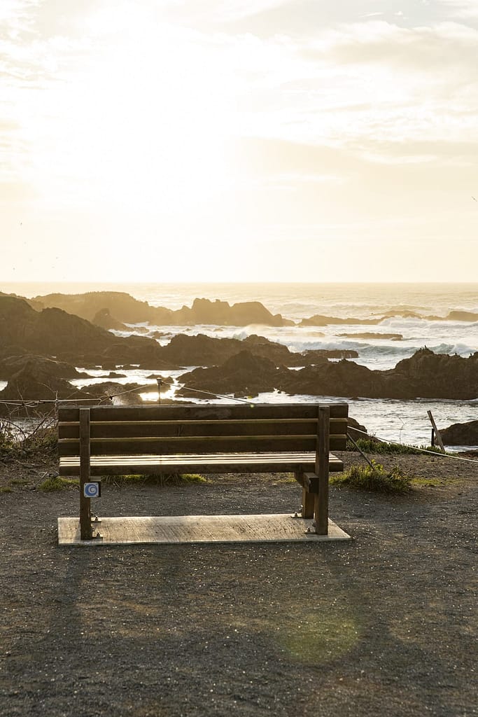 a wooden bench on the cliffs at sunset