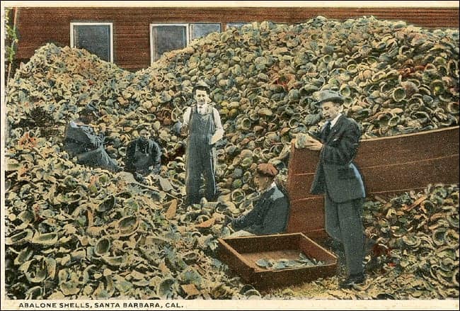 historic photo of men and piles of abalone shells