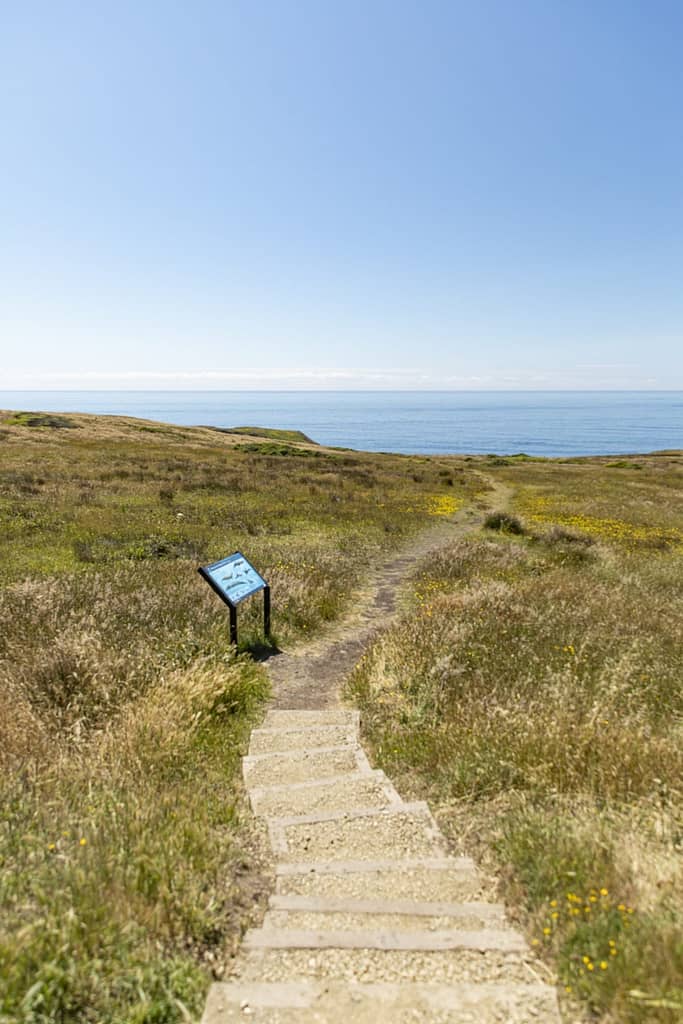 a path across grassy bluffs towards the sea