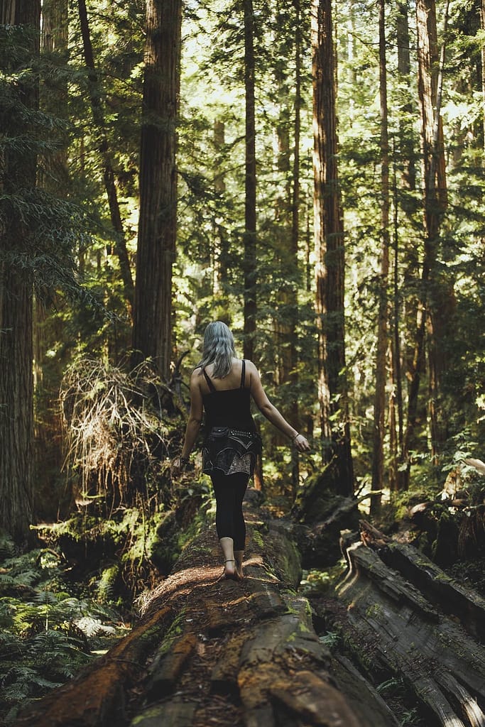 a woman walking along a fallen redwood tree