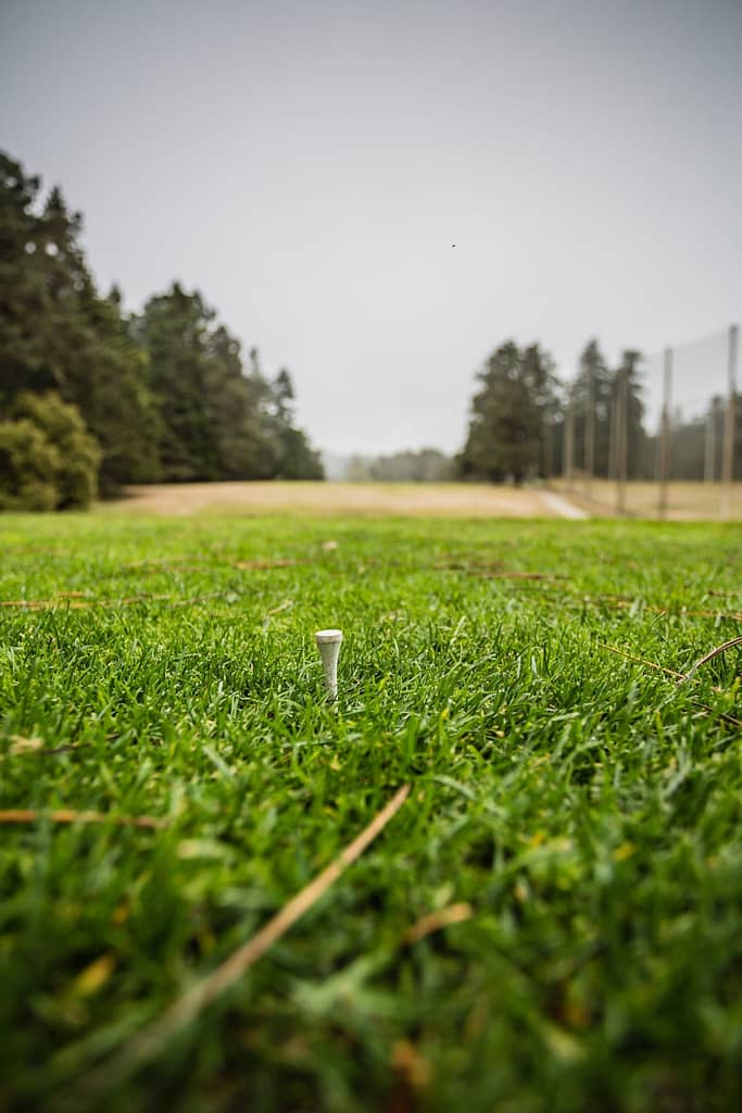 close-up of a golf tee in the grass