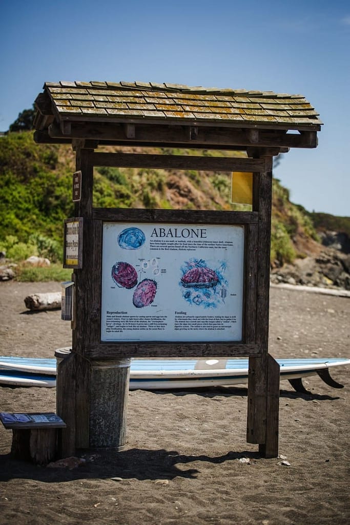 a wooden sign about abalone on the beach