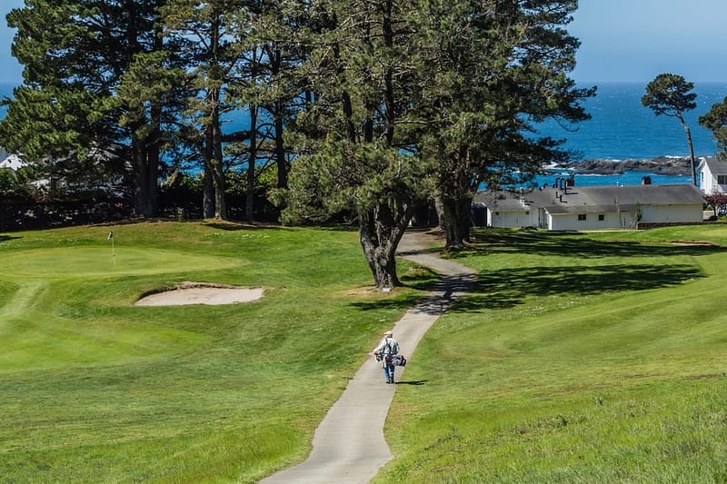a golfer walking along a path towards trees overlooking the ocean