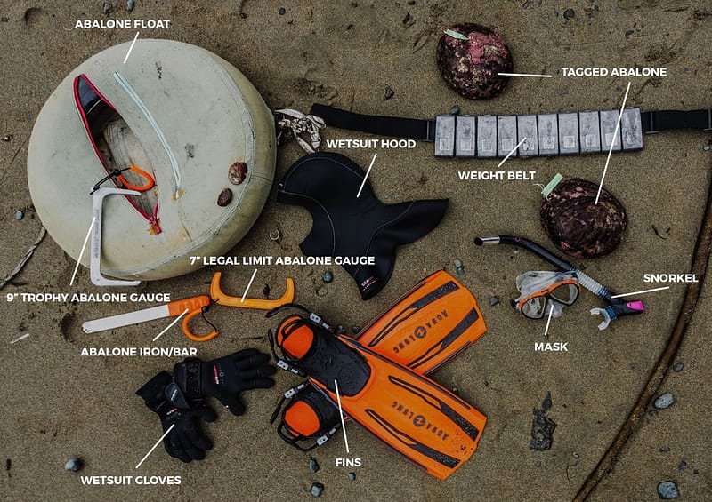 labeled overhead shot of abalone equipment