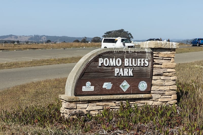 the Pomo Bluffs sign with a seagull