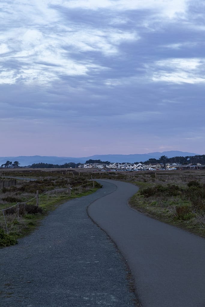 a path along the bluffs by Fort Bragg at dusk