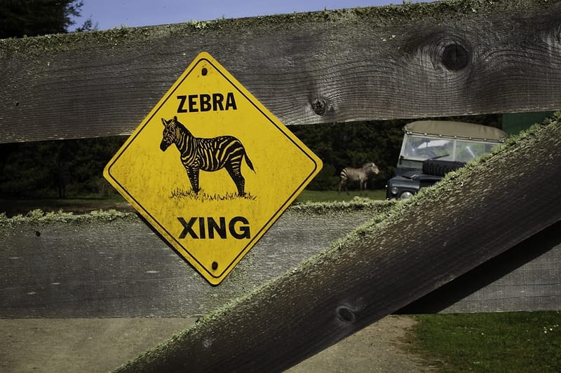 a zebra crossing sign on a fence