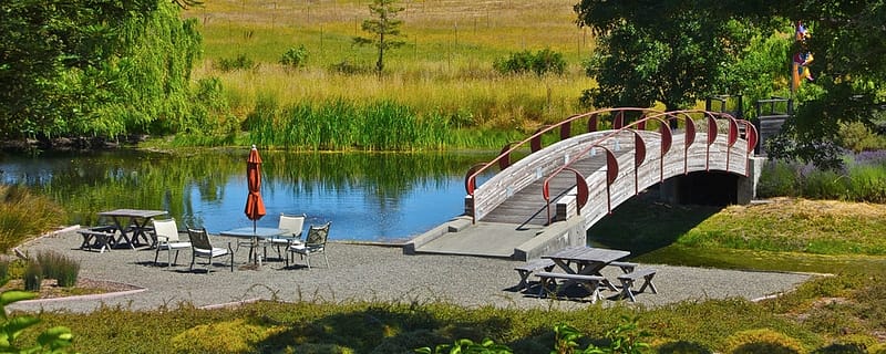 a decorative bridge across a pond next to picnic tables