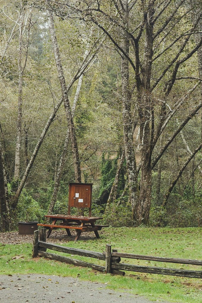 a picnic bench and barbecue in the woods